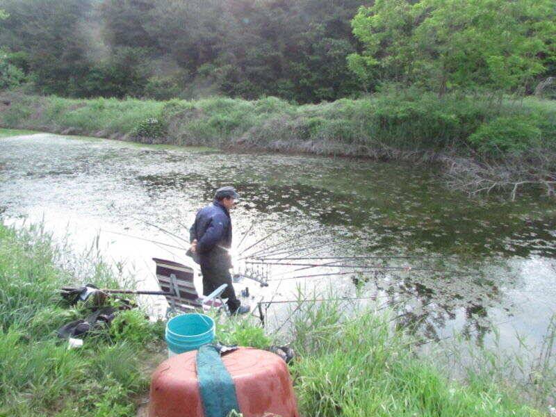 5월 마지막주 조황소식입니다 (조황조행기 - 특파원조황)