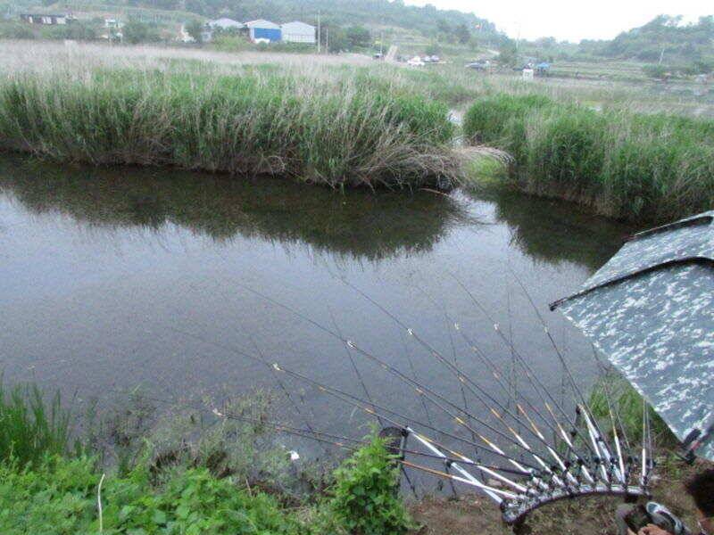 5월 4째주 조황입니다 (조황조행기 - 특파원조황)