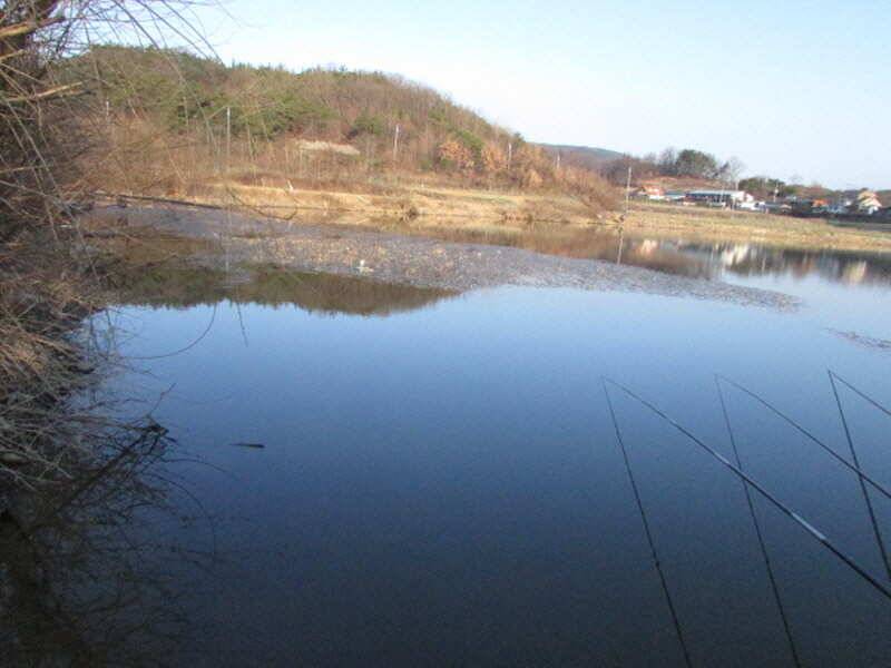 3월 4째주 조황입니다 (조황조행기 - 특파원조황)