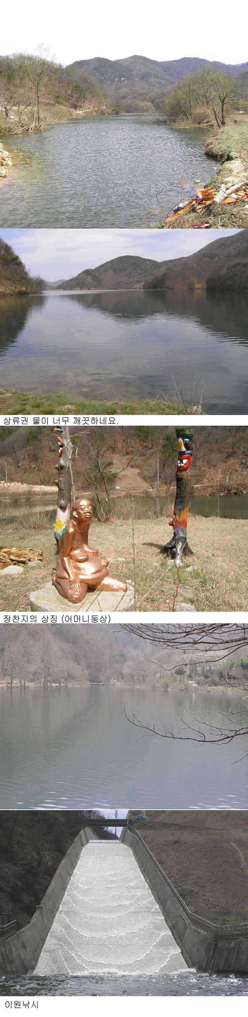 옥천권조황4월첫째주 (조황조행기 - 특파원조황)