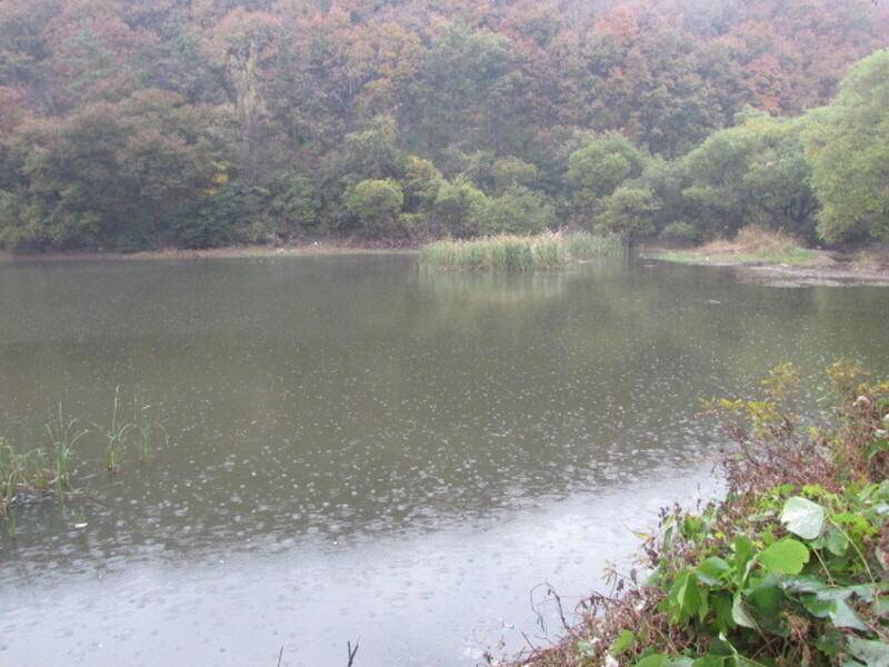 11월 첫주 조황입니다 (조황조행기 - 특파원조황)