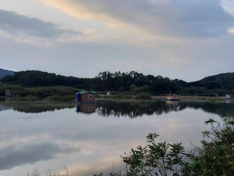 고삼지10월 첫주 소식 (조황조행기 - 특파원조황)