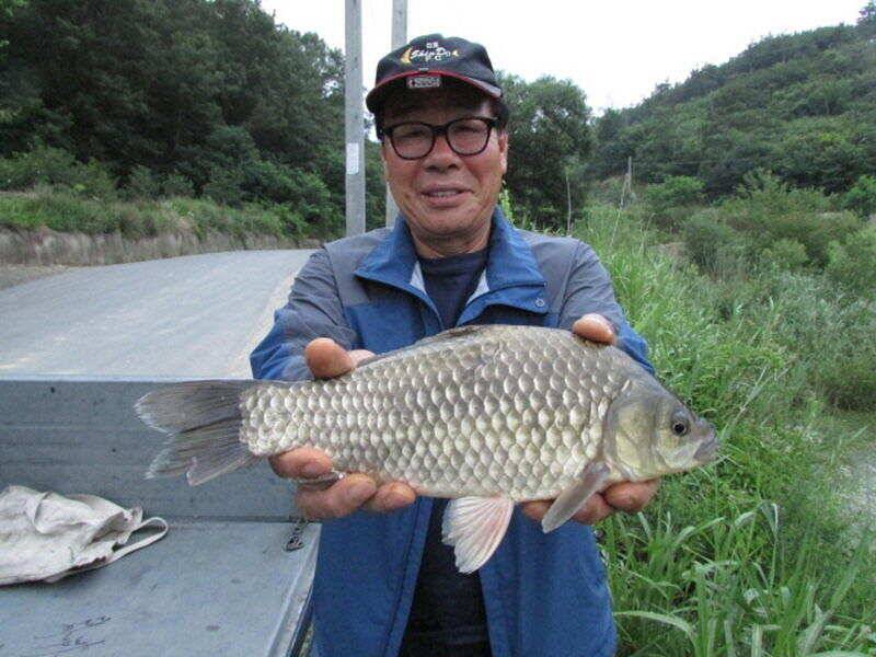 7월 2주차 조황입니다 (조황조행기 - 특파원조황)