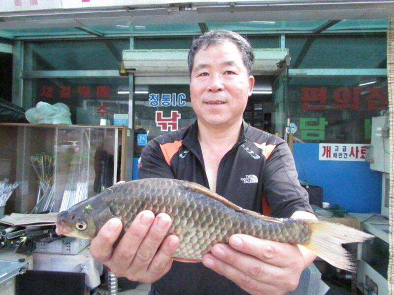 9월 첫째주 조황입니다 (조황조행기 - 특파원조황)