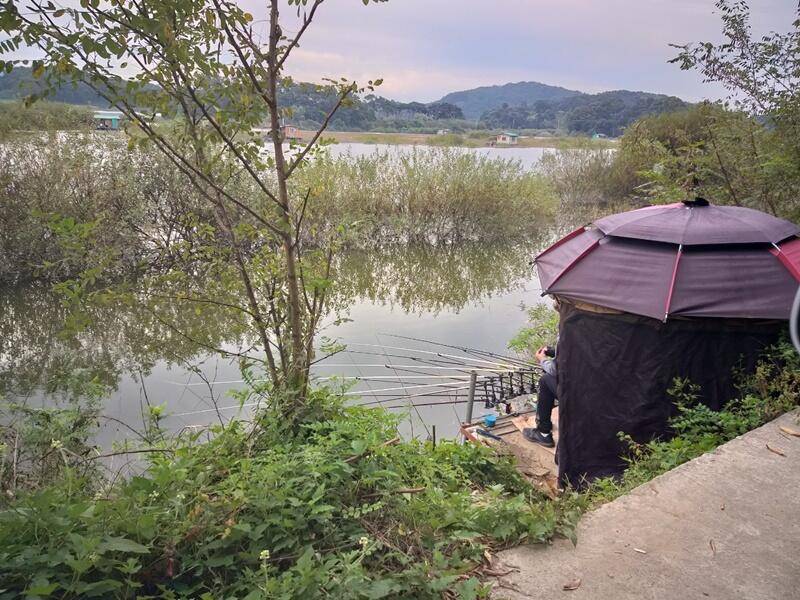 고삼지 노지 4짜 잡기 쉽습니다 (조황조행기 - 특파원조황)