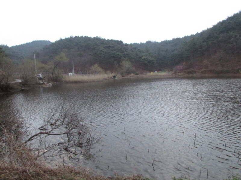 4월첫째주조황입니다 (조황조행기 - 특파원조황)