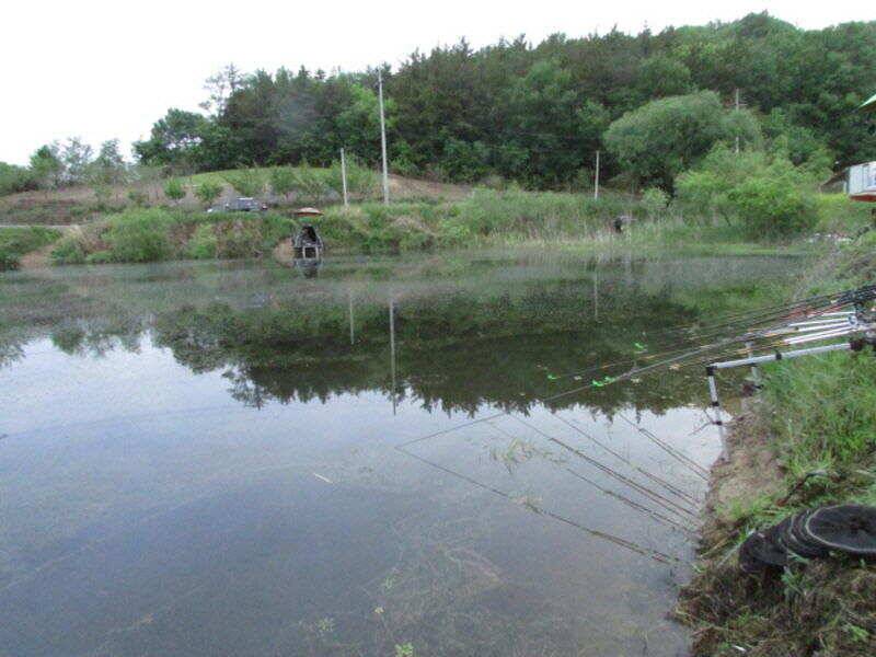 5월 3째주 조황입니다 (조황조행기 - 특파원조황)