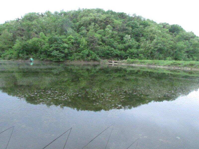 5월 3째주 조황입니다 (조황조행기 - 특파원조황)
