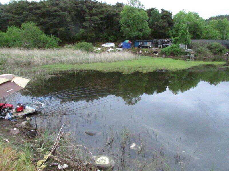 5월 3째주 조황입니다 (조황조행기 - 특파원조황)