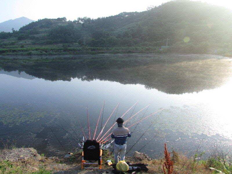 6월 4째주 조황입니다 (조황조행기 - 특파원조황)