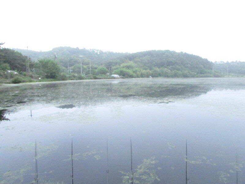 5월 4째주 조황입니다 (조황조행기 - 특파원조황)