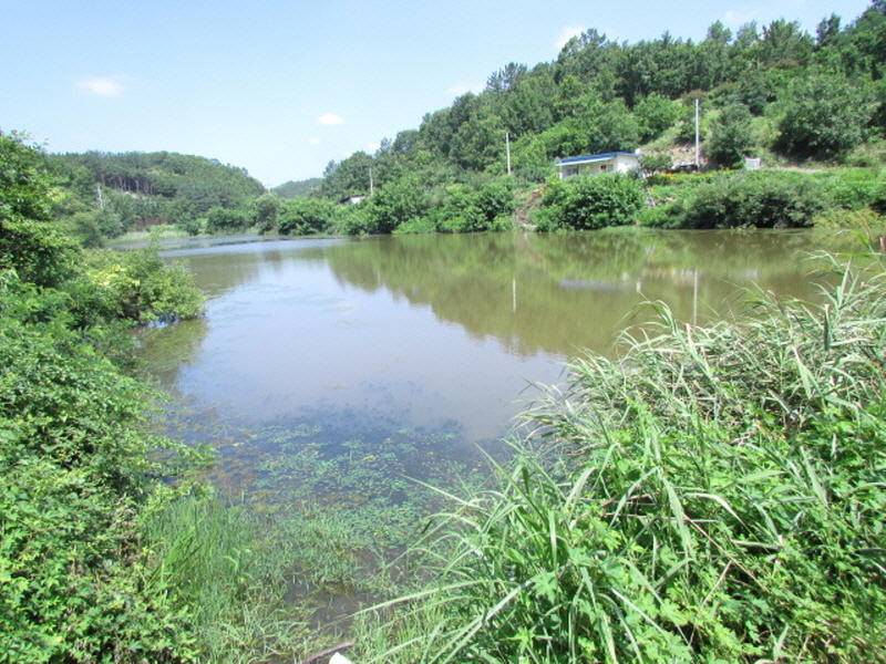 7월3째주 조황입니다 (조황조행기 - 특파원조황)