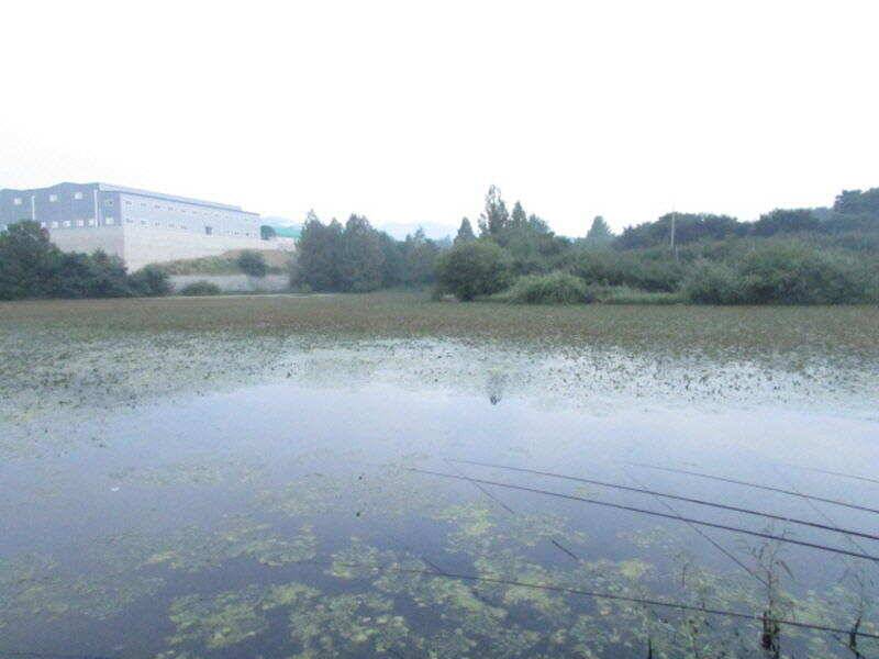 9월 첫째주 조황입니다 (조황조행기 - 특파원조황)