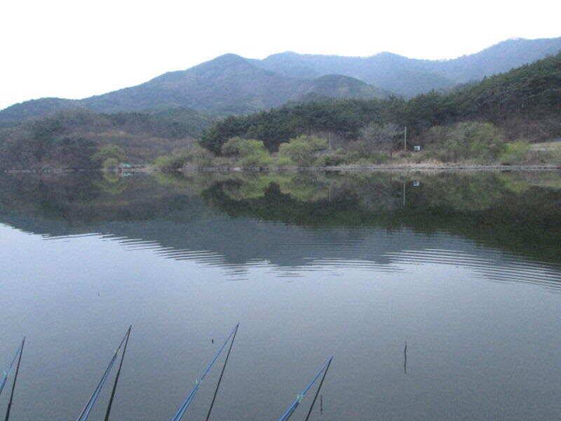 4월 2째주 조황입니다 (조황조행기 - 특파원조황)