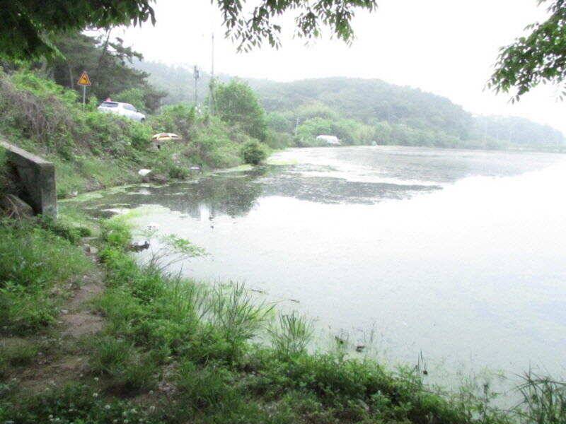 5월 4째주 조황입니다 (조황조행기 - 특파원조황)
