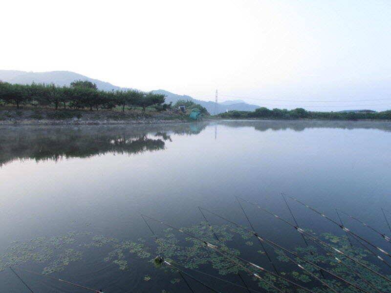 6월 4째주 조황입니다 (조황조행기 - 특파원조황)