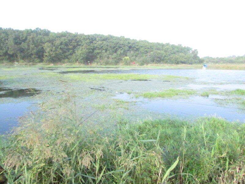 10월 첫주 조황입니다 (조황조행기 - 특파원조황)