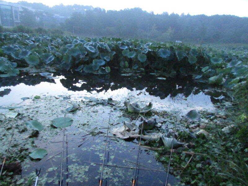 9월 첫째주 조황입니다 (조황조행기 - 특파원조황)