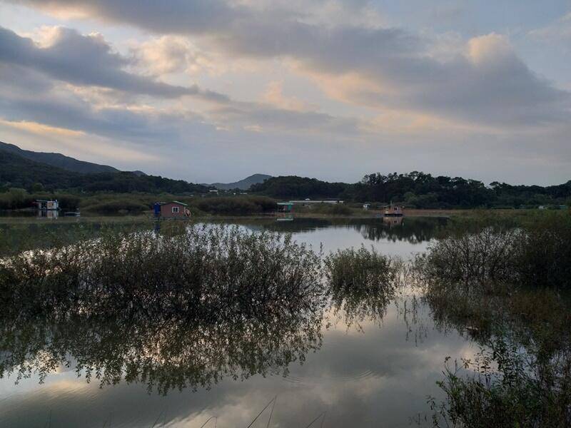 고삼지10월 첫주 소식 (조황조행기 - 특파원조황)
