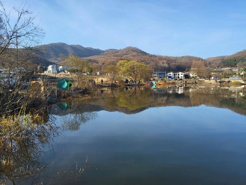 본격적으로 시작된 두창지 (조황조행기 - 특파원조황)