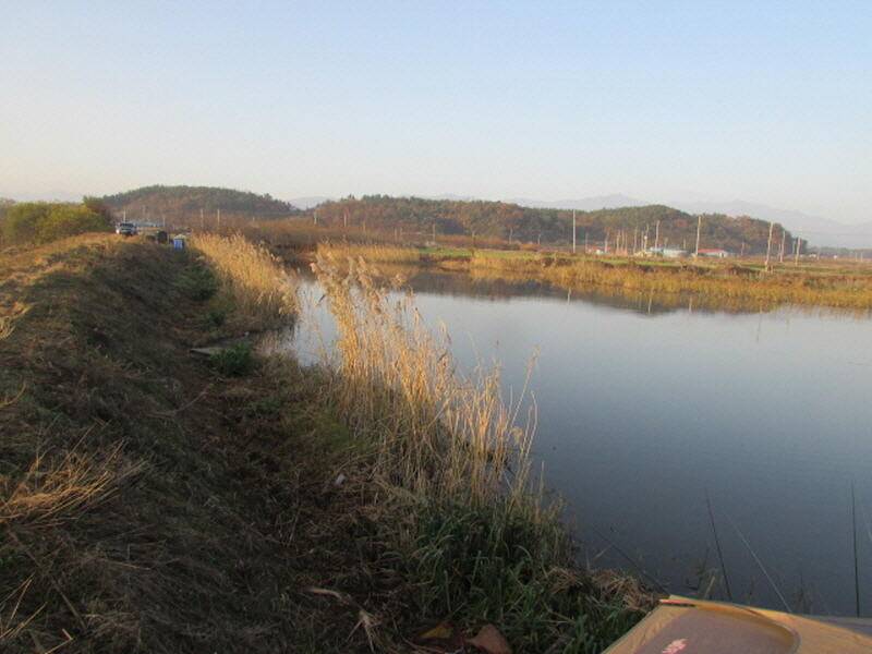 11월 3째주 조황입니다 (조황조행기 - 특파원조황)