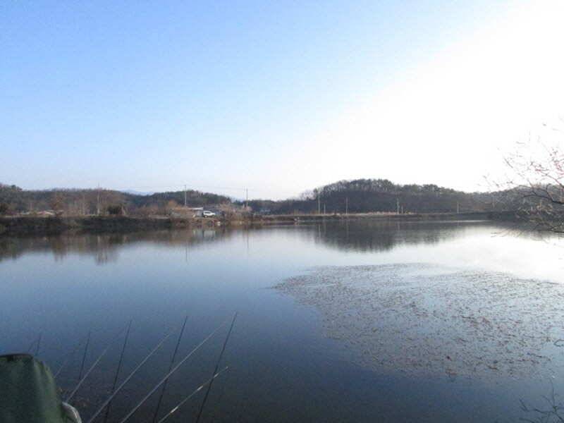 3월 4째주 조황입니다 (조황조행기 - 특파원조황)