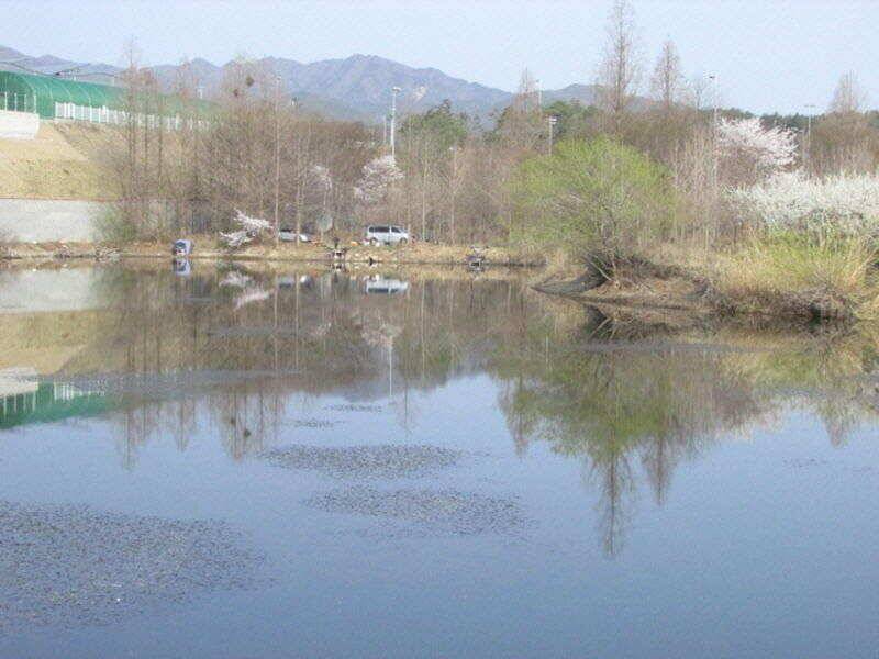 4월 2째주 조황입니다 (조황조행기 - 특파원조황)