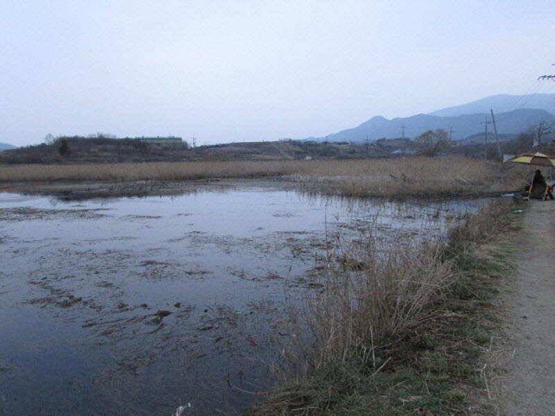 4월 2째주 조황입니다 (조황조행기 - 특파원조황)