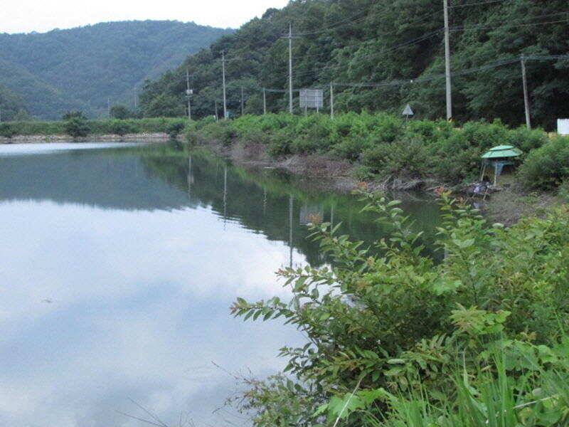 7월 2주차 조황입니다 (조황조행기 - 특파원조황)