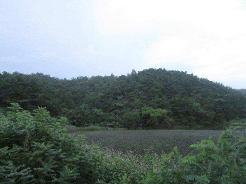 8월 마지막주 조황입니다 (조황조행기 - 특파원조황)