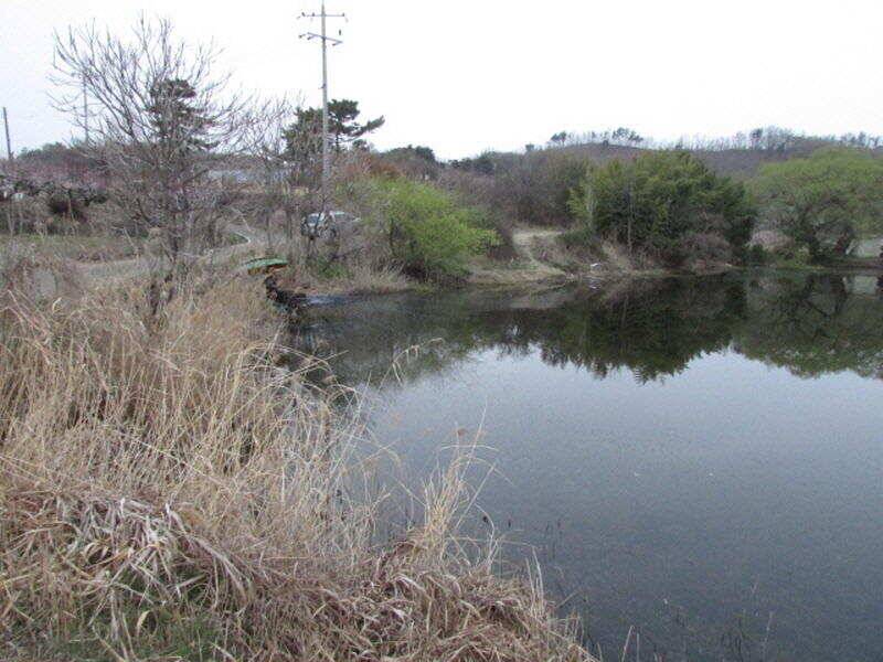 4월 2째주 조황입니다 (조황조행기 - 특파원조황)