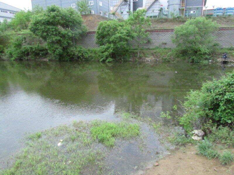 5월 3째주 조황입니다 (조황조행기 - 특파원조황)