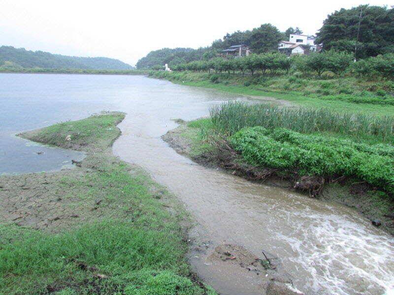 6월 3째주 조황입니다 (조황조행기 - 특파원조황)
