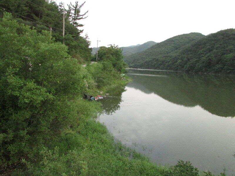 7월 첫주 조황입니다 (조황조행기 - 특파원조황)