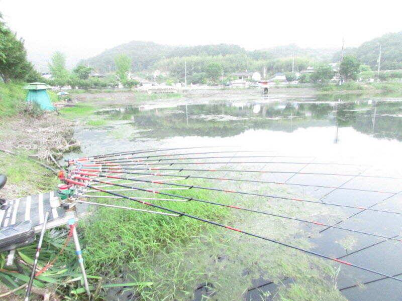 5월 4째주 조황입니다 (조황조행기 - 특파원조황)