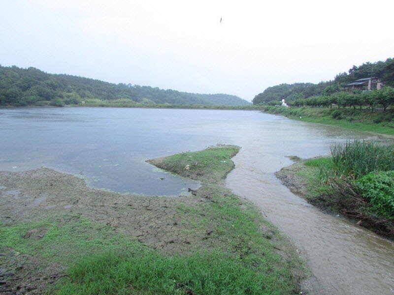 6월 3째주 조황입니다 (조황조행기 - 특파원조황)