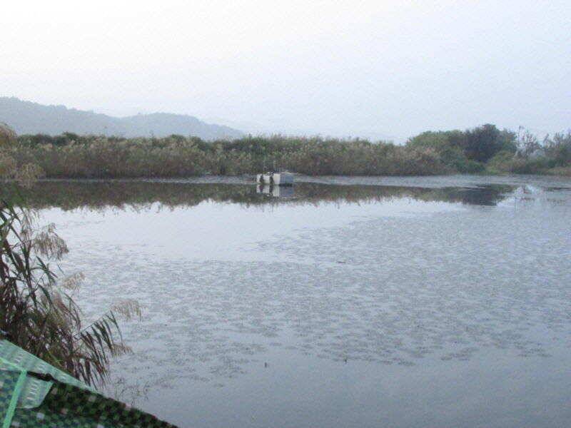 10월 첫주 조황입니다 (조황조행기 - 특파원조황)
