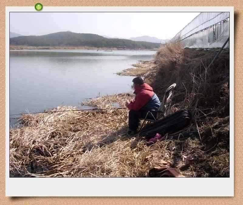 45cm 대물출현이방 늪지권 대물시즌 돌입 (조황조행기 - 특파원조황)