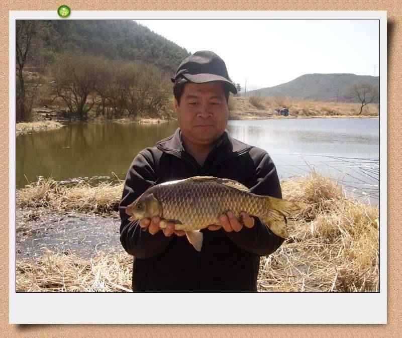 45cm 대물출현이방 늪지권 대물시즌 돌입 (조황조행기 - 특파원조황)