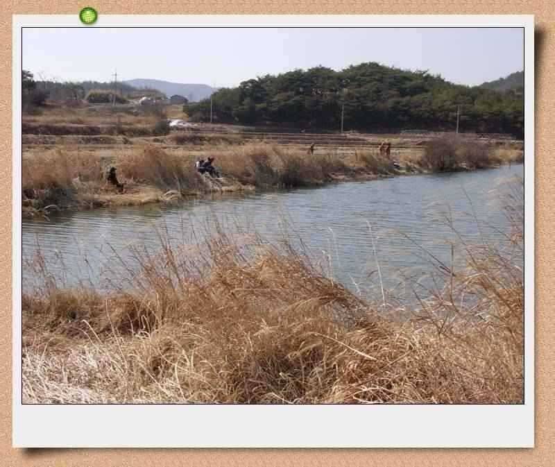바람따라 물따라 (조황조행기 - 특파원조황)
