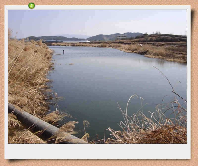 바람따라 물따라 (조황조행기 - 특파원조황)