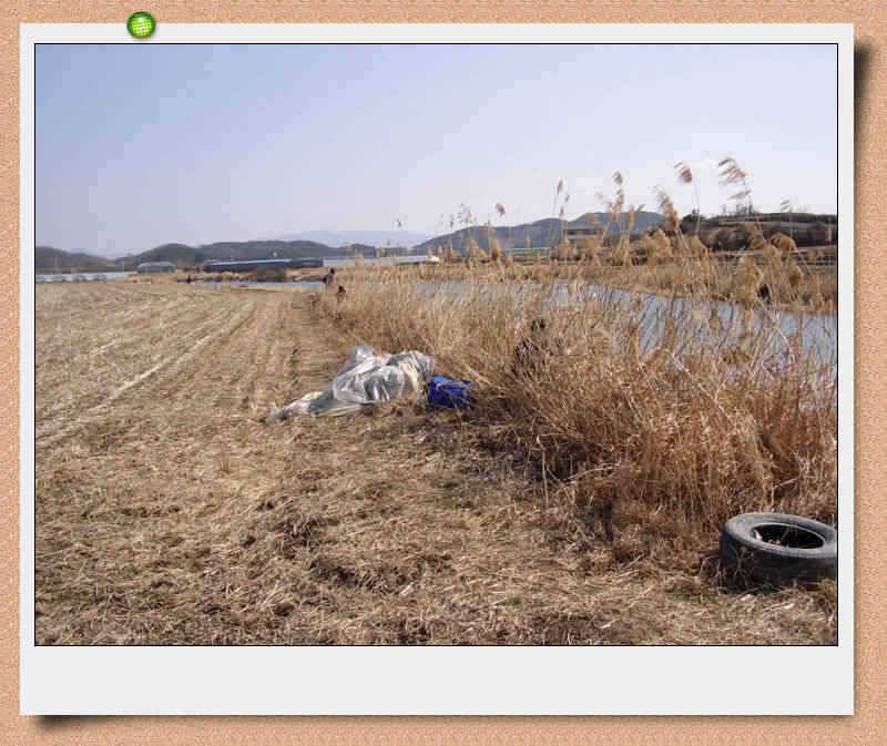 바람따라 물따라 (조황조행기 - 특파원조황)