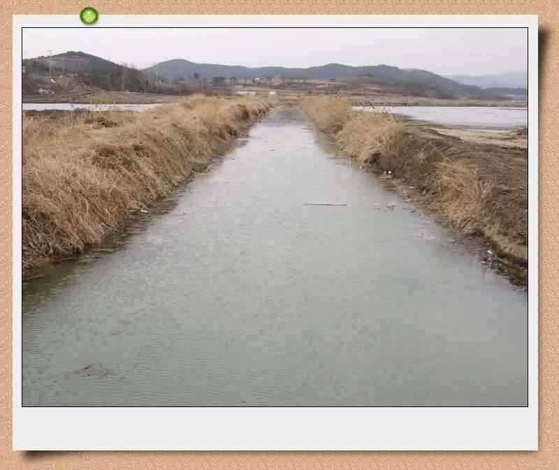 이방늪 답사 (조황조행기 - 특파원조황)