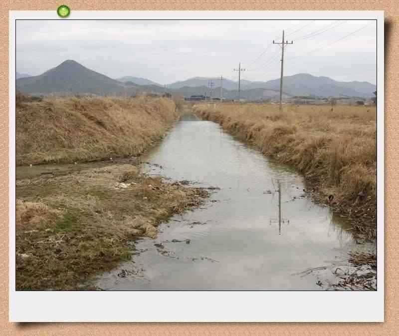 이방늪 답사 (조황조행기 - 특파원조황)