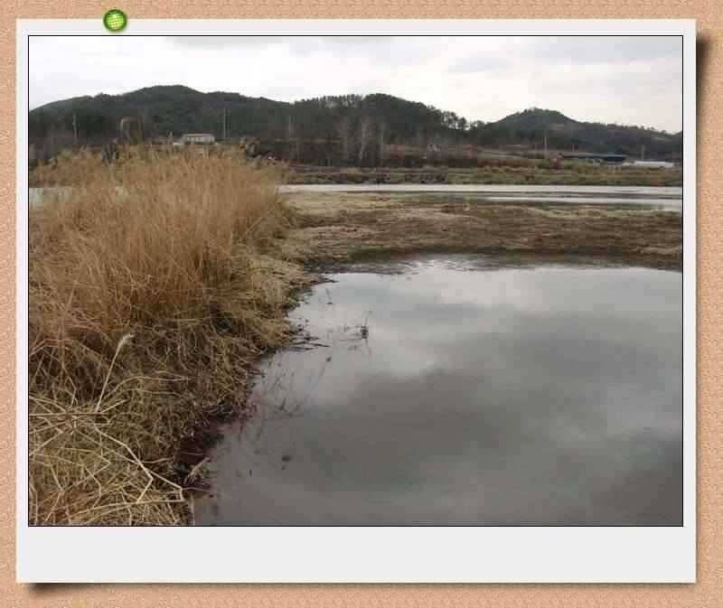 이방늪 답사 (조황조행기 - 특파원조황)