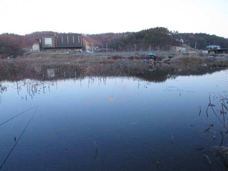 3월 4째주 조황입니다 (조황조행기 - 특파원조황)