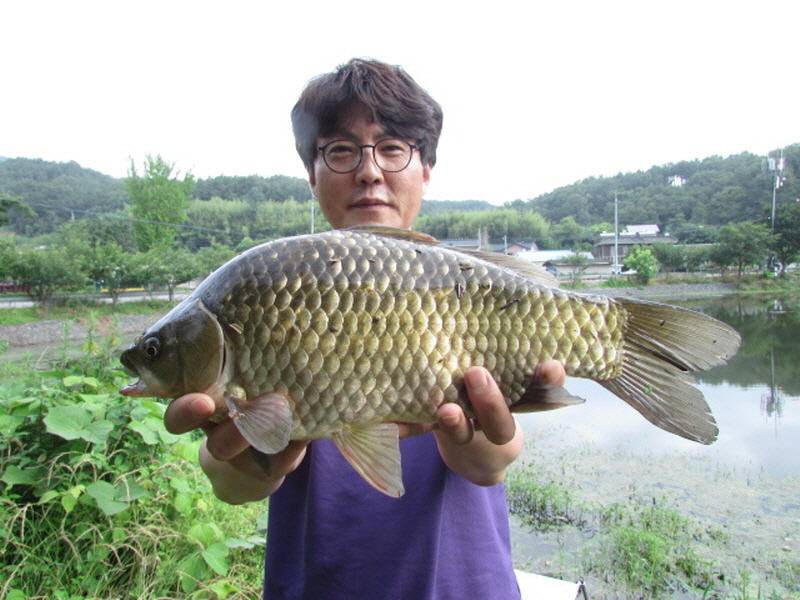 7월3째주 조황입니다 (조황조행기 - 특파원조황)