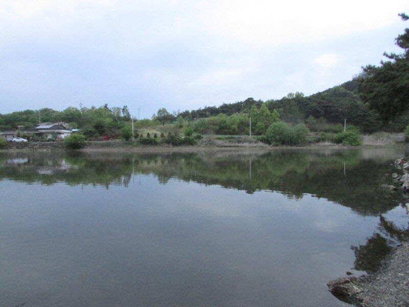 5월 첫주 조황 입니다 (조황조행기 - 특파원조황)