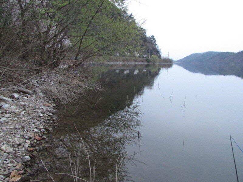 4월 2째주 조황입니다 (조황조행기 - 특파원조황)