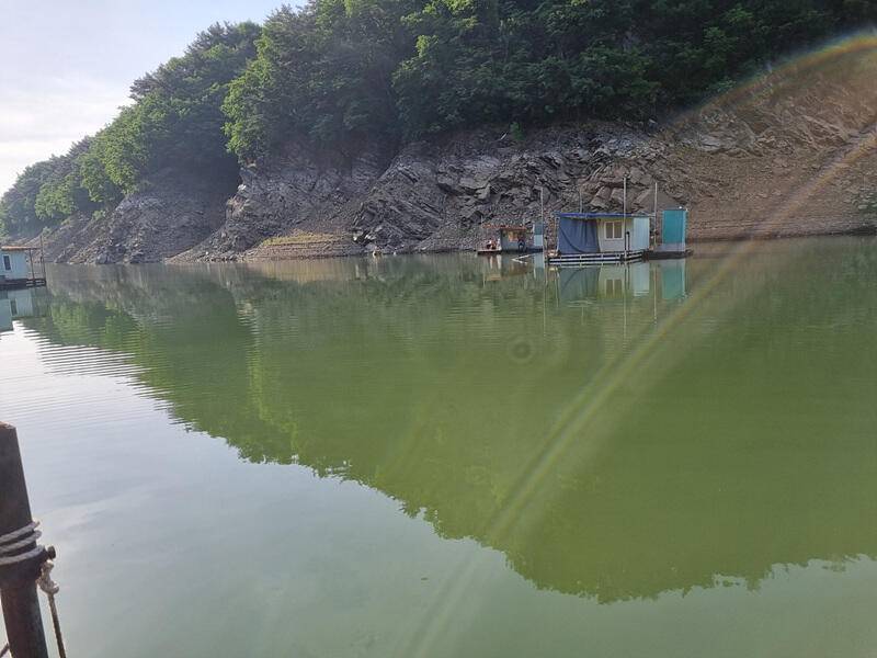 충주호 하천 낚시터 조황 소식입니다 (조황조행기 - 특파원조황)